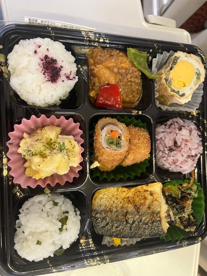 Déjeuner du bento dans le train